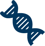 Illustration of DNA Strand